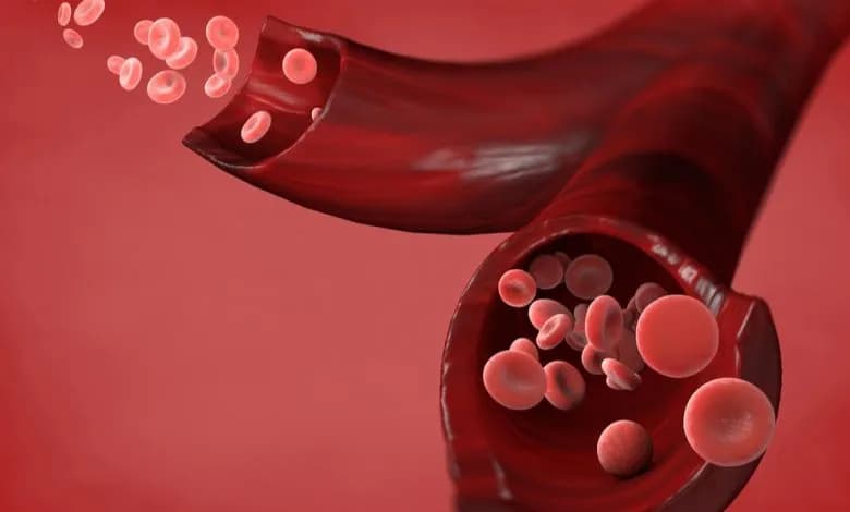 تفسير حلم الدم في المنام- مال حرام، كذب، أم حياة؟