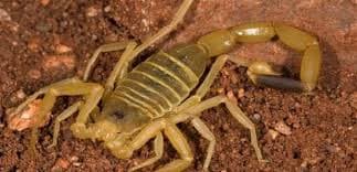 تفسير حلم البحر في المنام- دنيا واسعة، رحلة، وعلم لا ينتهي